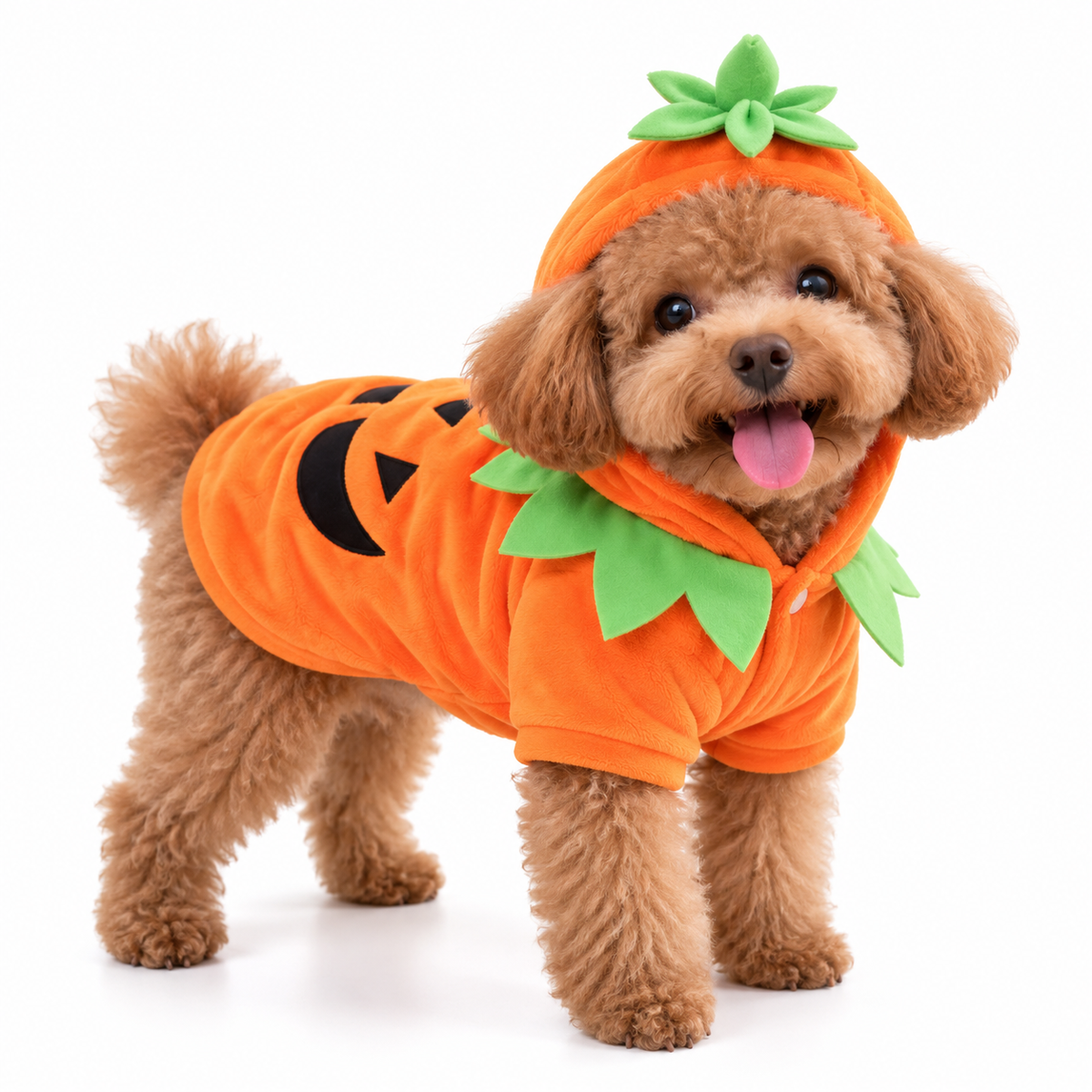 Halloween Hunde-Kostüm | "Pumpkin Cutie"
