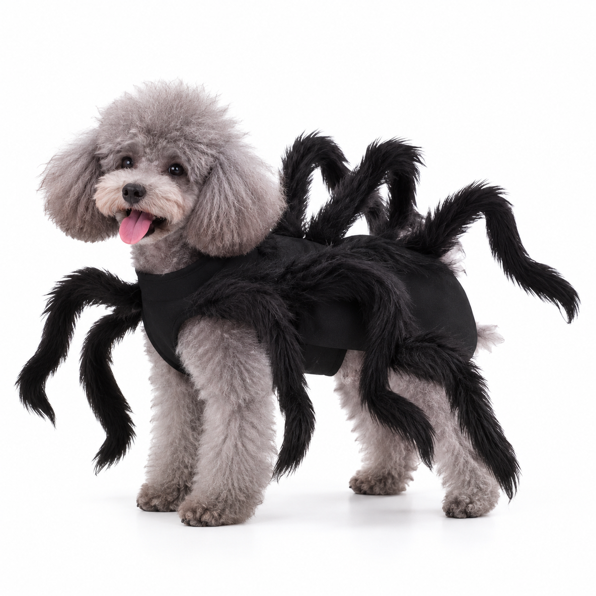Halloween Hunde-Kostüm | "Spider Attack"