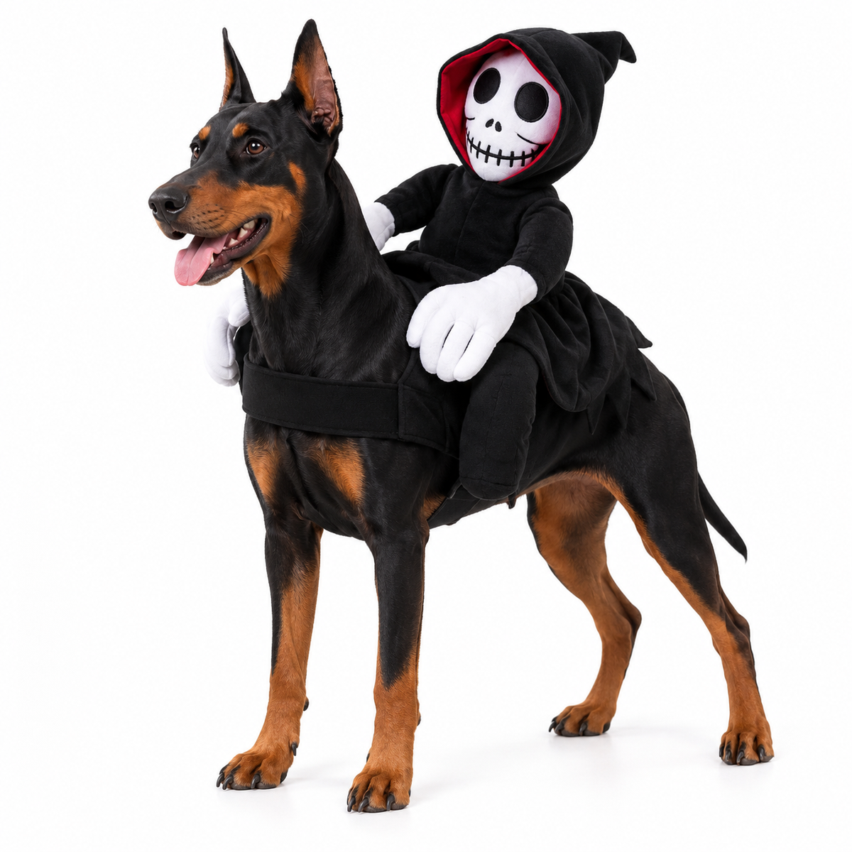 Halloween Hunde-kostüm | "Grim Reaper"
