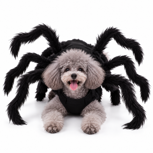 Halloween Hunde-Kostüm | "Spider Attack"